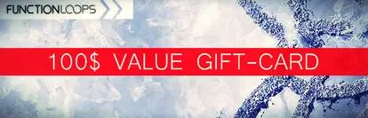 Featured image for “Special gift card discount by Function Loops”