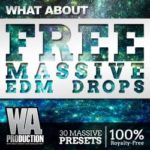Featured image for “Free EDM presets for NI Massive by WA Production”