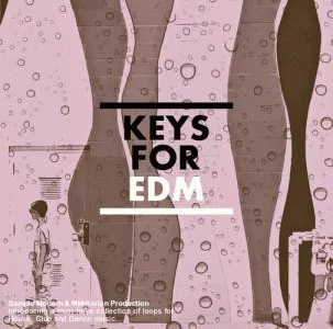 Featured image for “Keys For EDM for free by Sample Modern”