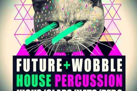Featured image for “Future & Wobbles House Percussions by Function Loops”