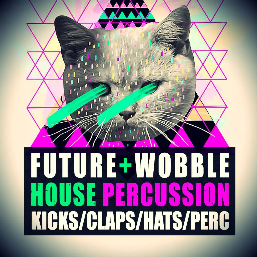 Future & Wobbles House Percussions by Function Loops