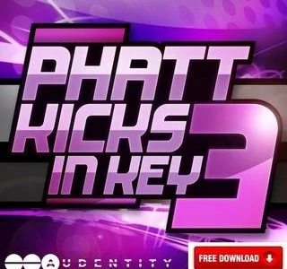 Featured image for “Phatt Kicks in key by Audentity”
