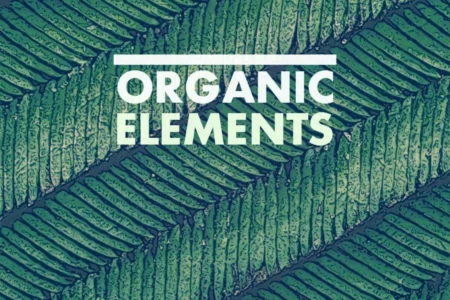 Featured image for “Organic Elements – Freebee by Sample Modern”