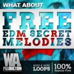 Featured image for “Free EDM Secret Melodies by W.A. Production”