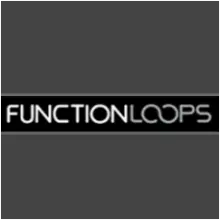 Featured image for “Spire Factory Bank 2016 for free by Function Loops”