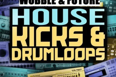 Featured image for “Wobble & Future House Kicks & Drumloops by Audentity”