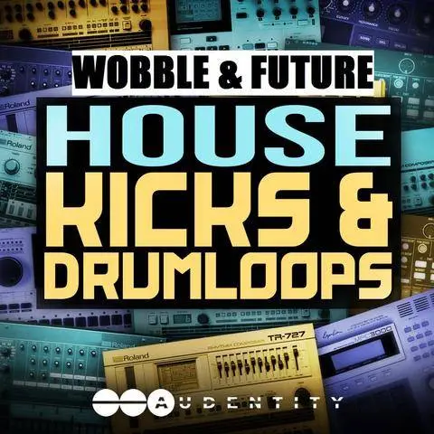 Wobble & Future House Kicks & Drumloops by Audentity