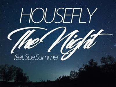Featured image for “Track of the Week: Housefly feat. Sue Summer – The night”
