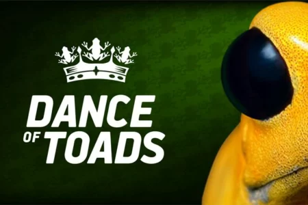 Featured image for “Dance of Toads – We want your demos!”