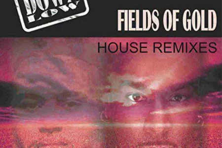 Featured image for “Track of the week: Down Low – Fields of gold (Remixes)”