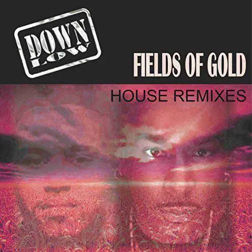 Track of the week: Down Low – Fields of gold (Remixes)