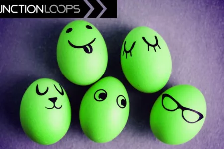 Featured image for “Easter Sale by Function Loops – 50 % Off!”