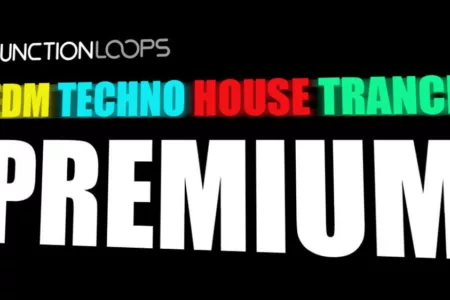 Featured image for “Premium Bundle Discount by Function Loops”