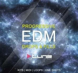 Featured image for “Tune Records – Progressive EDM”