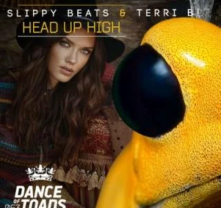 Featured image for “Track of the week: Slippy Beats & Terri B! – Head Up High”