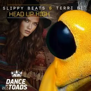 Track of the week: Slippy Beats & Terri B! – Head Up High