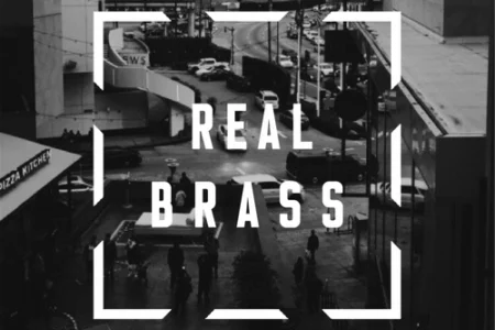Featured image for “Real Brass – Free Serum presets by Offshape”