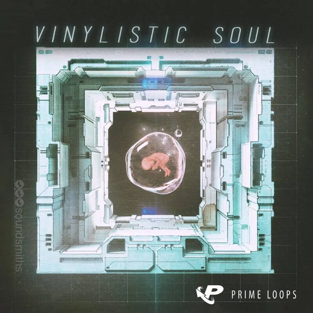 Prime Loops released Vinylistic Soul