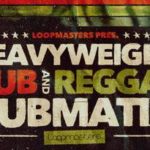 Featured image for “Loopmasters released Dubmatix Presents – Heavyweight Dub & Reggae”