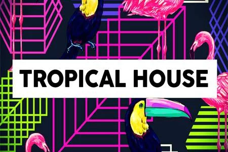 Featured image for “Function Loops releases Modern Tropical House”