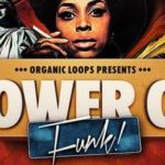 Featured image for “Loopmasters released Tower Of Funk”