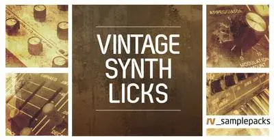 Featured image for “Loopmasters released Vintage Synth Licks”