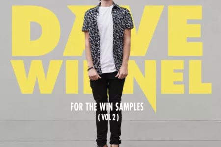 Featured image for “Splice Sounds released Dave Winnel – For The Win Vol. 2”