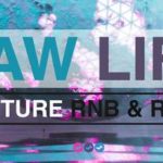 Featured image for “Loopmasters released DAW Life: Future RnB & Rap”