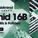Featured image for “Loopmasters released Omid 16B – Deep Subliminal House”