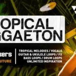 Featured image for “Loopmasters released Tropical Reggaeton”
