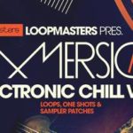 Featured image for “Loopmasters released Immersion – Electronic Chill 2”