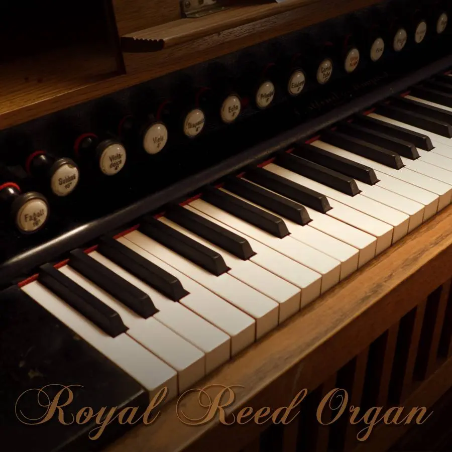Deal: Royal Reed Organ by Precisionsound 77% off