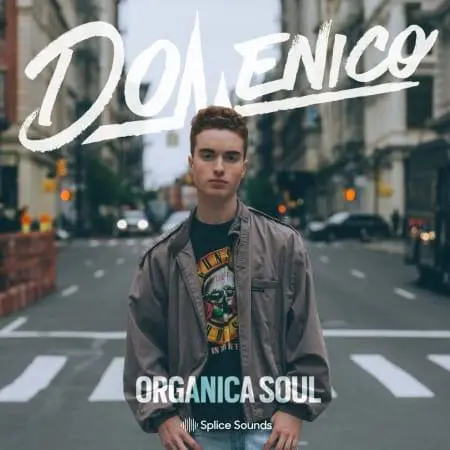 Splice Sounds released Domenico: Organica Soul