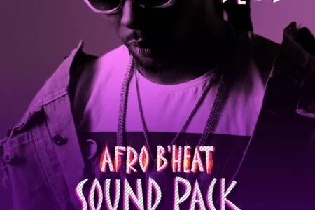Featured image for “Splice Sounds released Del B Afro B’Heat Sound Pack”