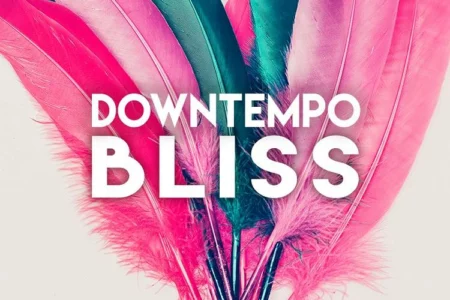 Featured image for “Function Loops releases sample collection Downtown Bliss”