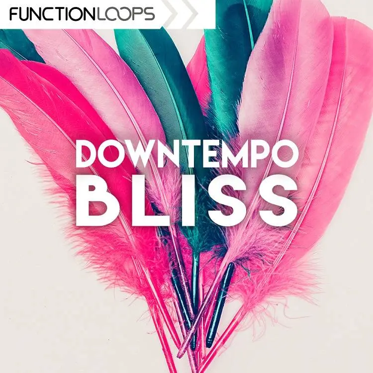 Function Loops releases sample collection Downtown Bliss