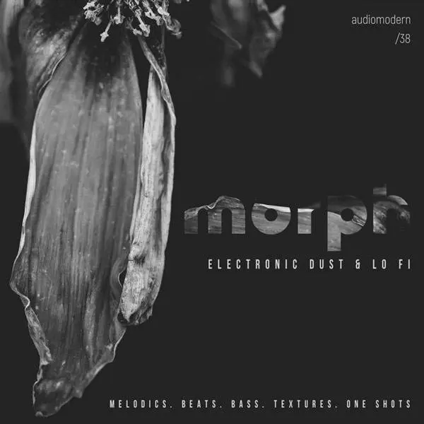Audiomodern released Morph