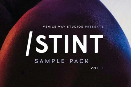 Featured image for “Splice Sounds released Venice Way Studios Presents STINT Sample Pack”