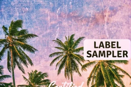 Featured image for “Certified Audio releases samplecollection Free Sampler”