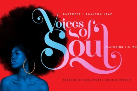 Featured image for “EastWest released VOICES OF SOUL”