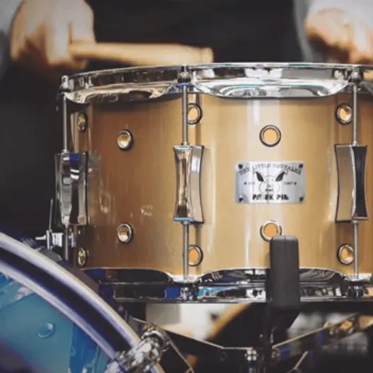 Puremagnetik Snare Designer