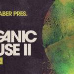 Featured image for “Loopmasters released Rasmus Faber – Live Organic House 2”