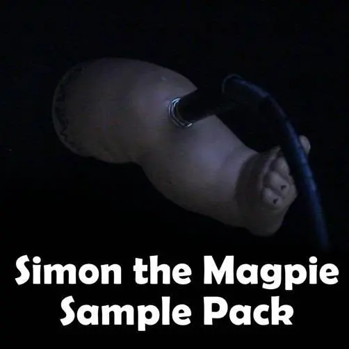 Ben Burnes releases Magpie Sample Pack for free