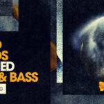 Featured image for “Loopmasters released Cigno Sound – Rectified Drum & Bass”