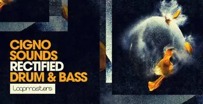 Featured image for “Loopmasters released Cigno Sound – Rectified Drum & Bass”