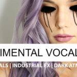 Featured image for “Loopmasters released Experimental Vocal Pop”