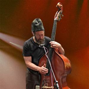 Featured image for “Bolder Sounds released Roots Upright Bass”