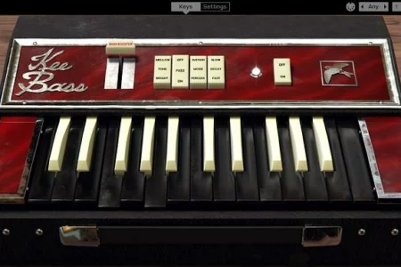 Featured image for “Kee Bass releases bass instrument by Martinic”