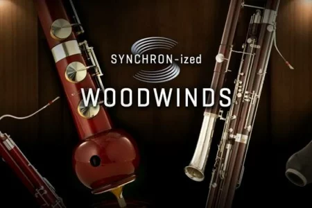 Featured image for “Vienna Symphonic Library released SYNCHRON-ized Woodwinds”