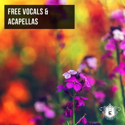 Ghosthack releases samplepack with vocals and acapellas for free
